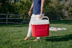 IGLOO Laguna 28QT Cool Box Red -Alphanova Shop k7261c800915913834b6a43a5a82e78a3