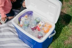 IGLOO Laguna 28QT Cool Box Red -Alphanova Shop kb309529a331bee3c9613a50999a7df51